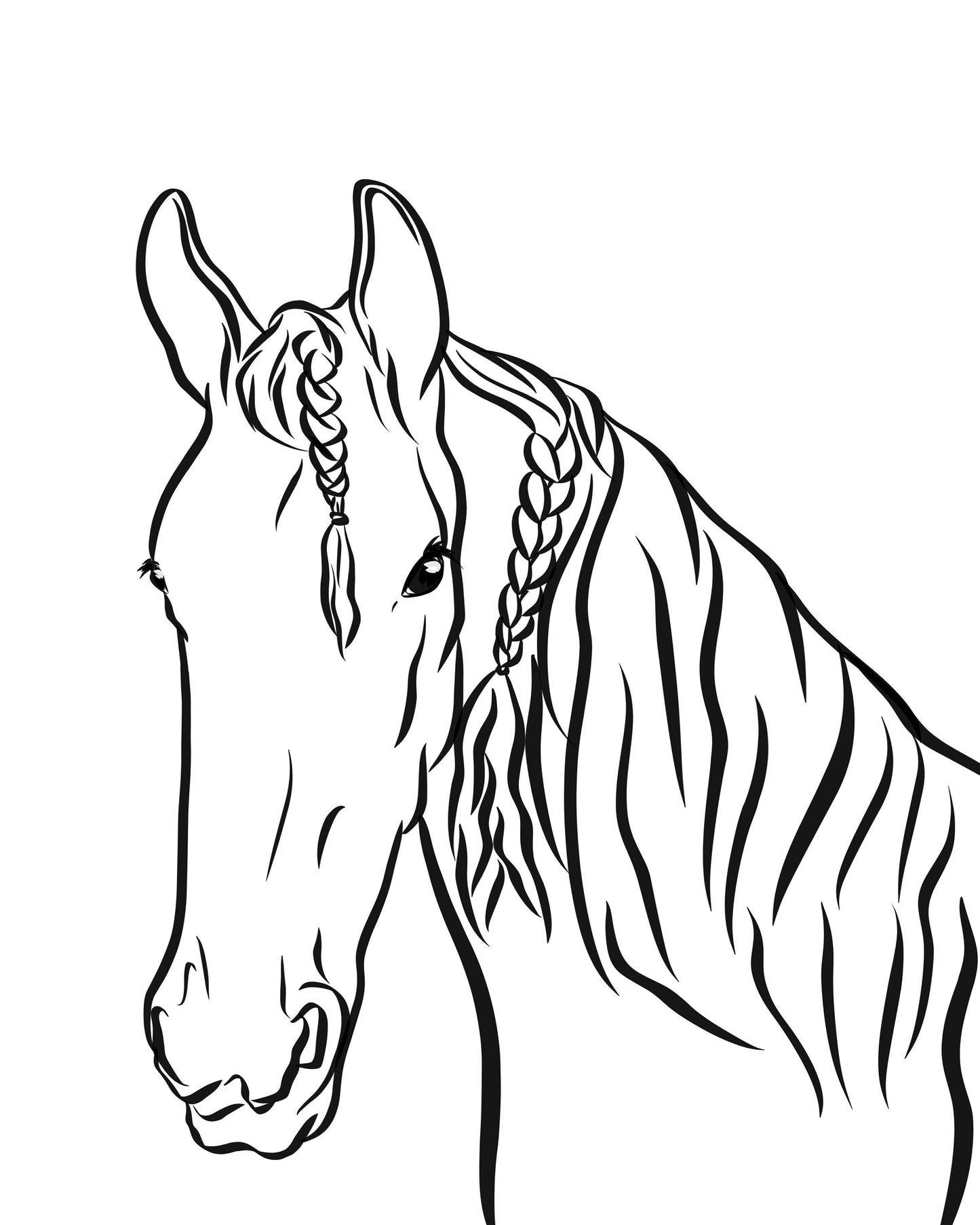 Outline Horse Portrait/ Personalised Horse Line Art Illustration/ Custom Digital Horse Drawing from Photo/ Printable Horse Wall Art Gifts