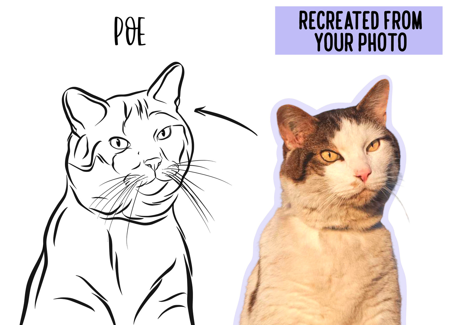 Cat Outline Drawing/ Personalised Line Art/ Minimalistic Cat Illustration/ Cat Owner Memorial Gift/ Cat Loss Gift/ Kitten Portrait Sketch