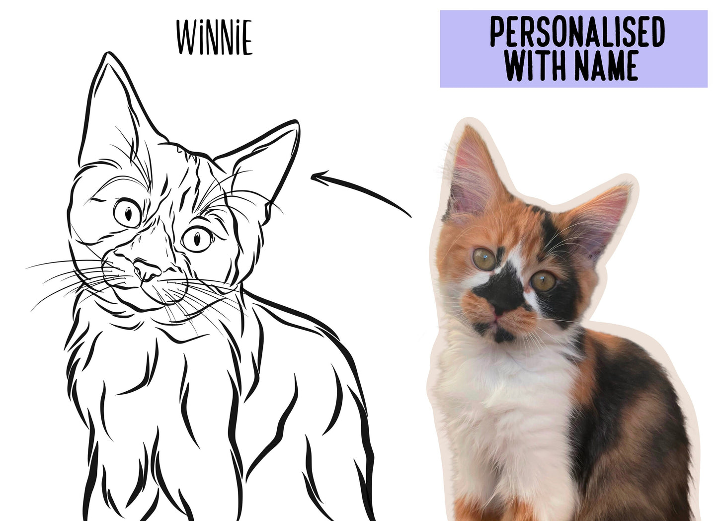 Cat Outline Drawing/ Personalised Line Art/ Minimalistic Cat Illustration/ Cat Owner Memorial Gift/ Cat Loss Gift/ Kitten Portrait Sketch