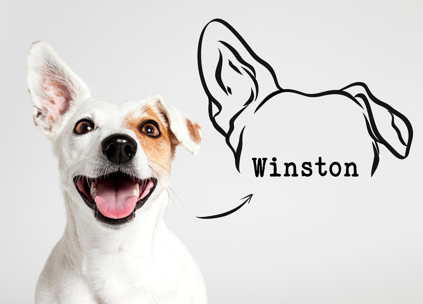 Outline Pet Ear Drawing/ Custom Dog Ear Line Portrait/ Minimalistic Dog Ears Digital Sketch/ Pet Memorial Tattoo Design Idea/ Pet Face Art