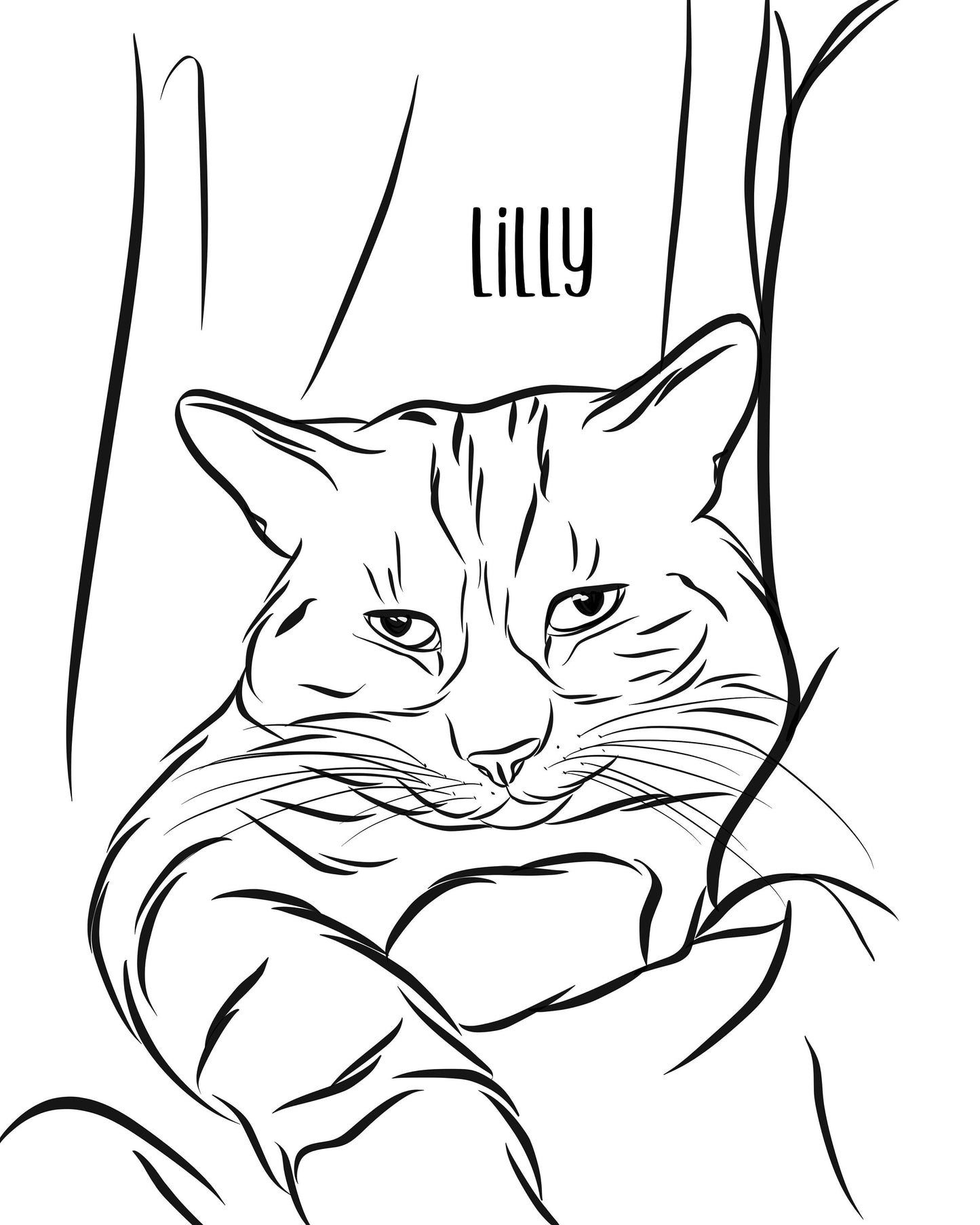 Cat Outline Drawing/ Personalised Line Art/ Minimalistic Cat Illustration/ Cat Owner Memorial Gift/ Cat Loss Gift/ Kitten Portrait Sketch