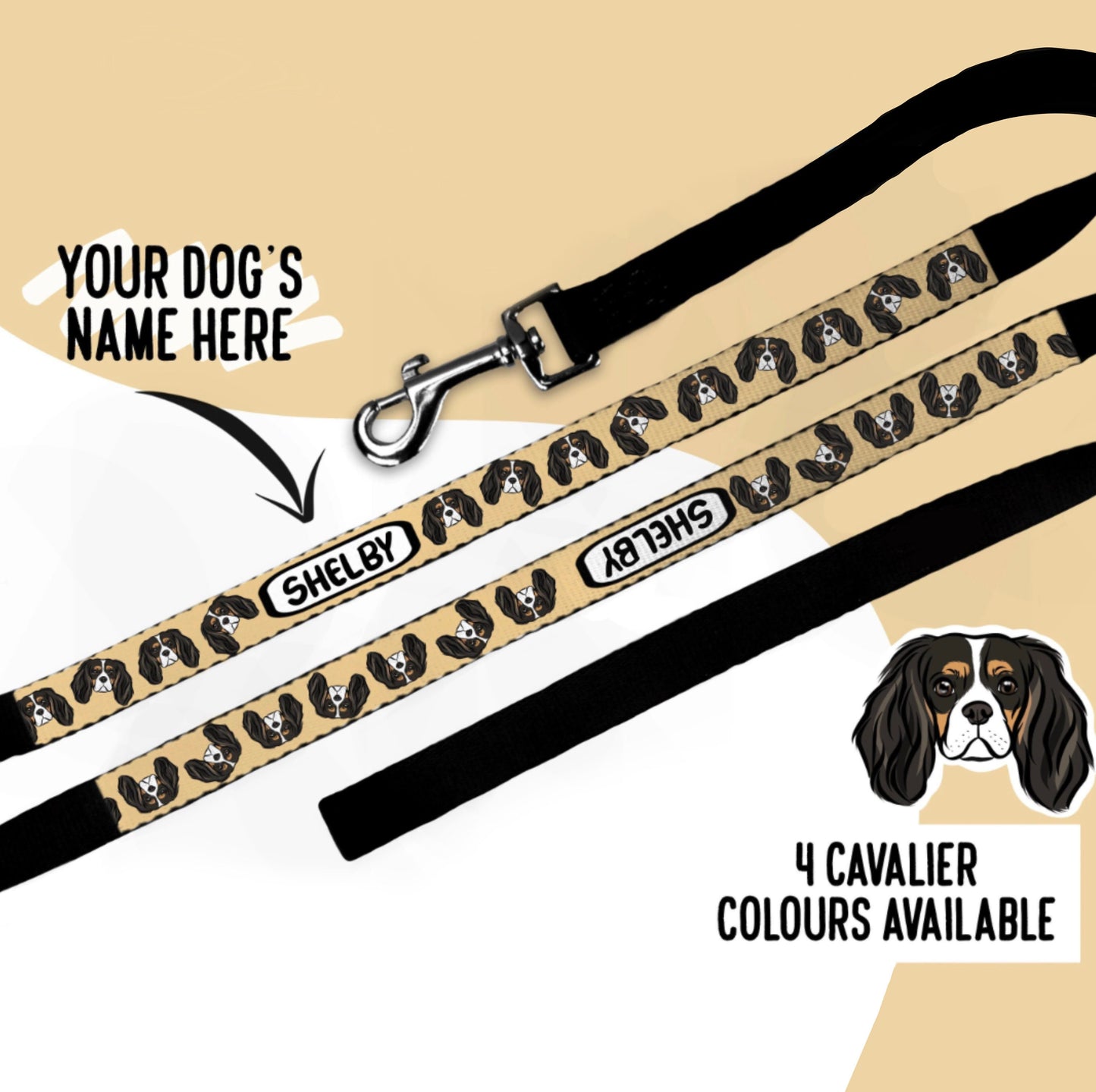 Cavalier King Charles Spaniel Lead