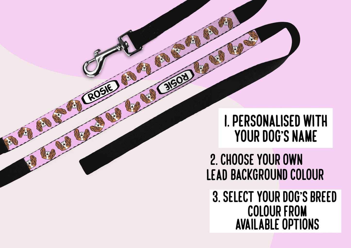 Cavalier King Charles Spaniel Lead
