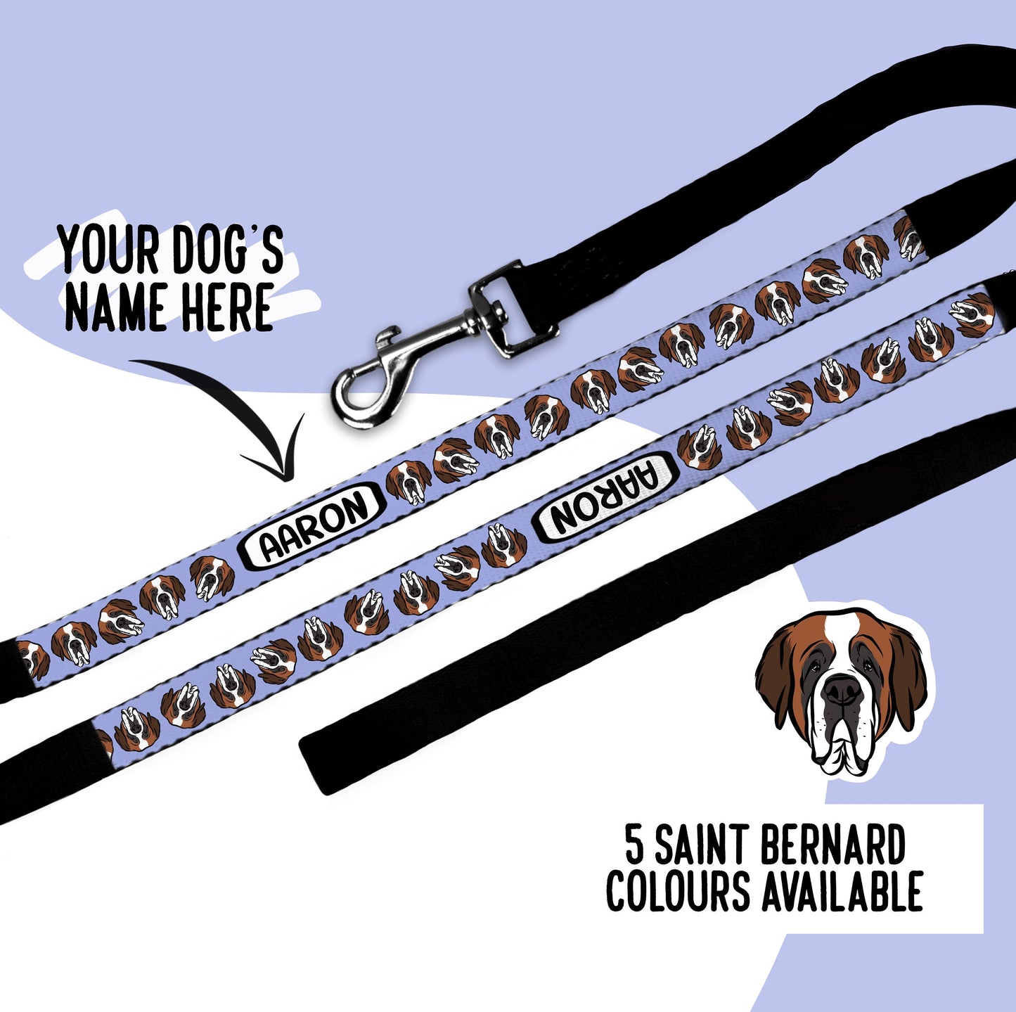 Saint Bernard Dog Portrait Leash