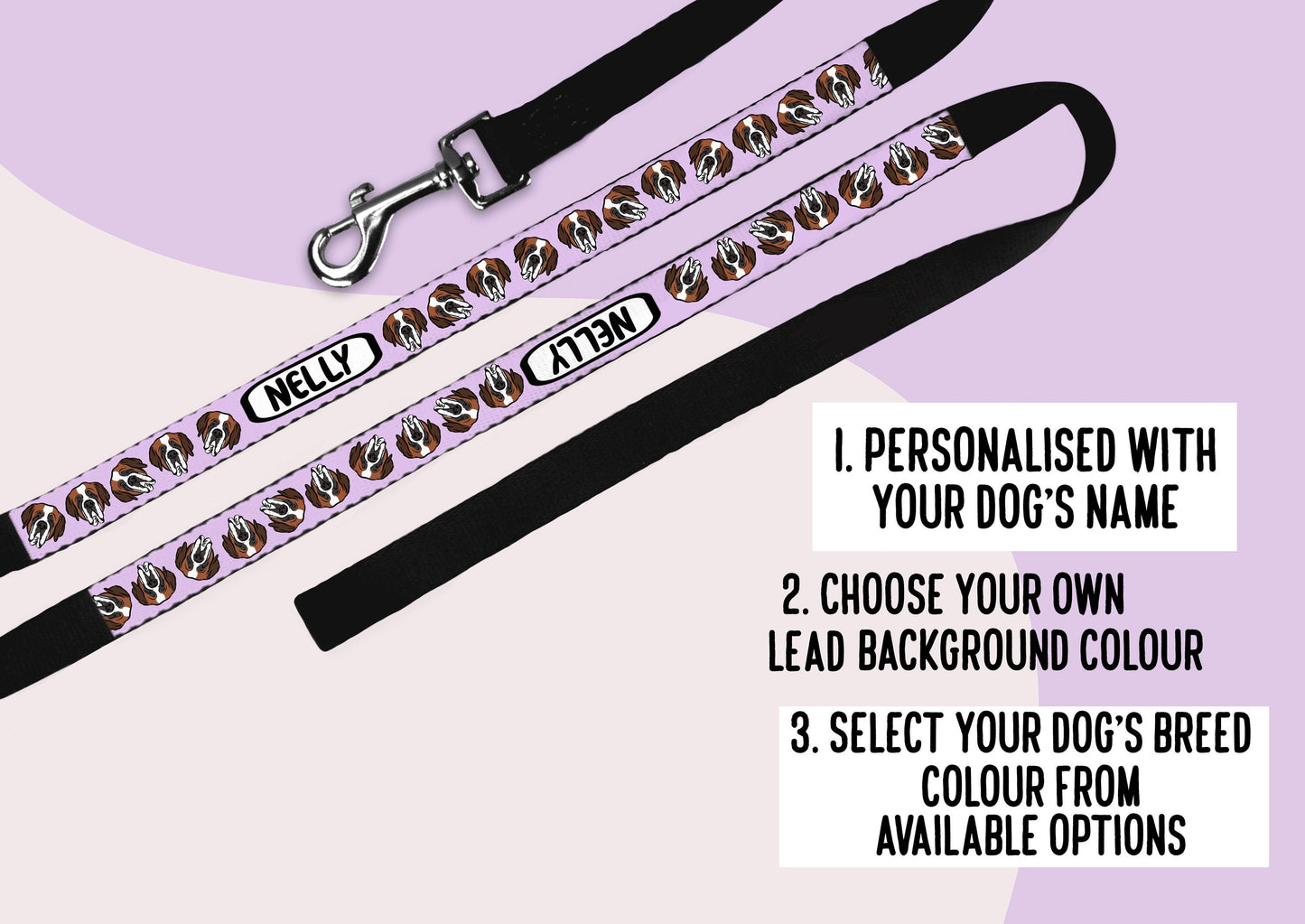 Saint Bernard Dog Portrait Leash