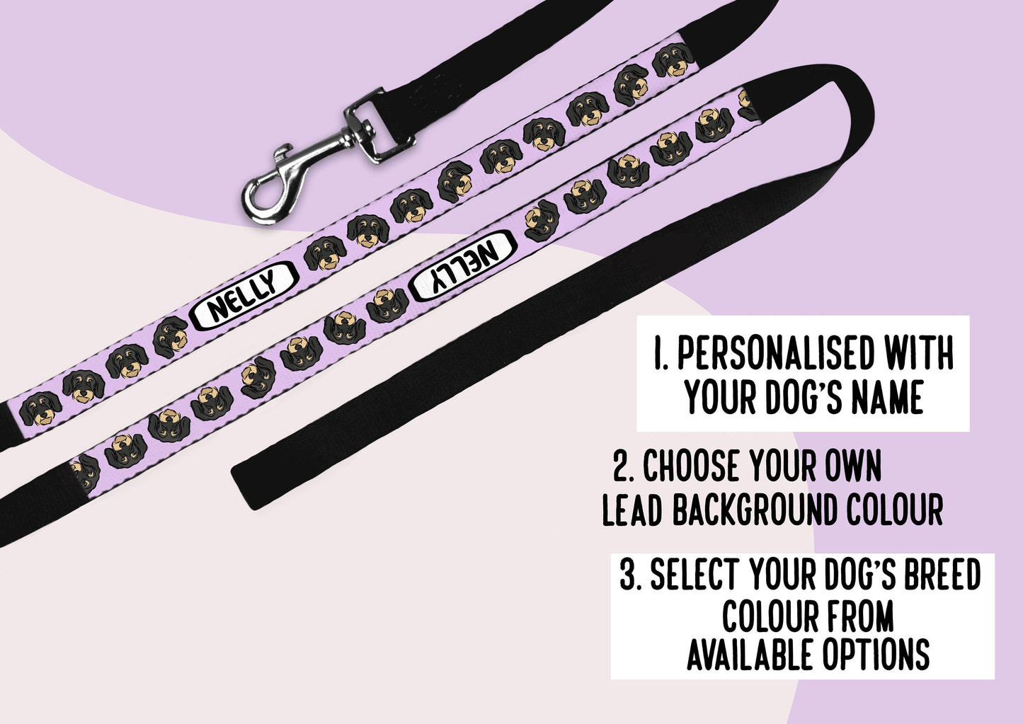Personalised Wire Haired Dachshund Dog Lead