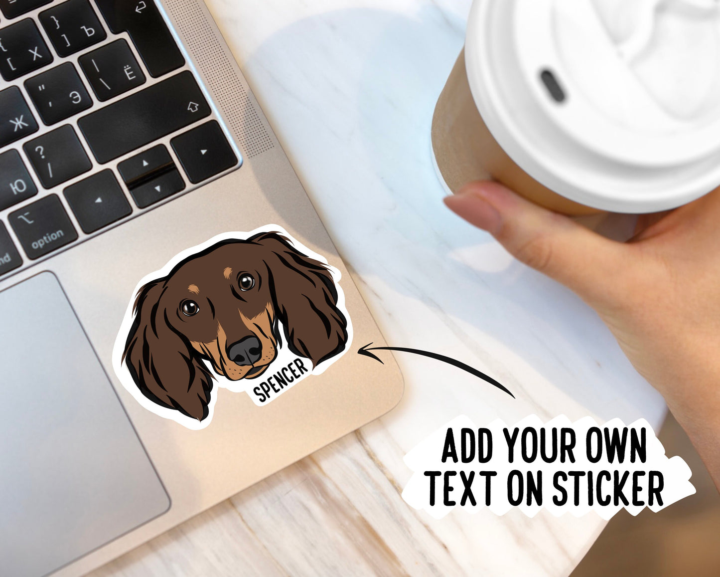 Long Haired Dachshund Stickers