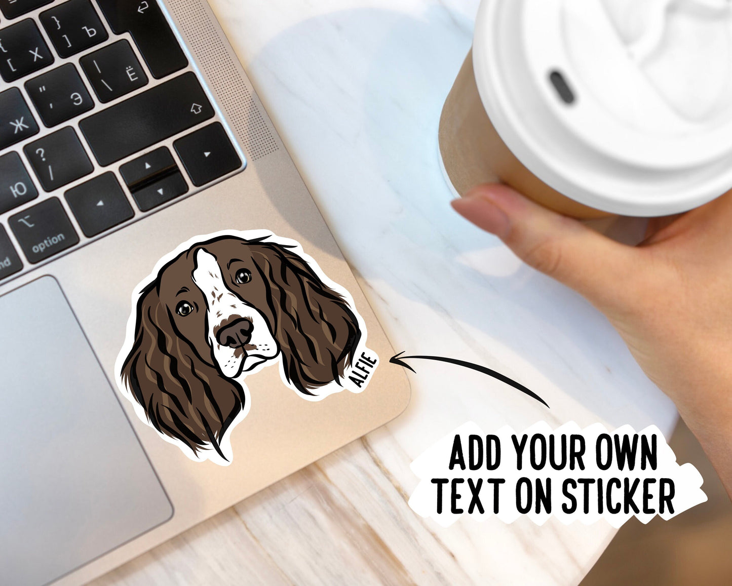 Springer Spaniel Stickers