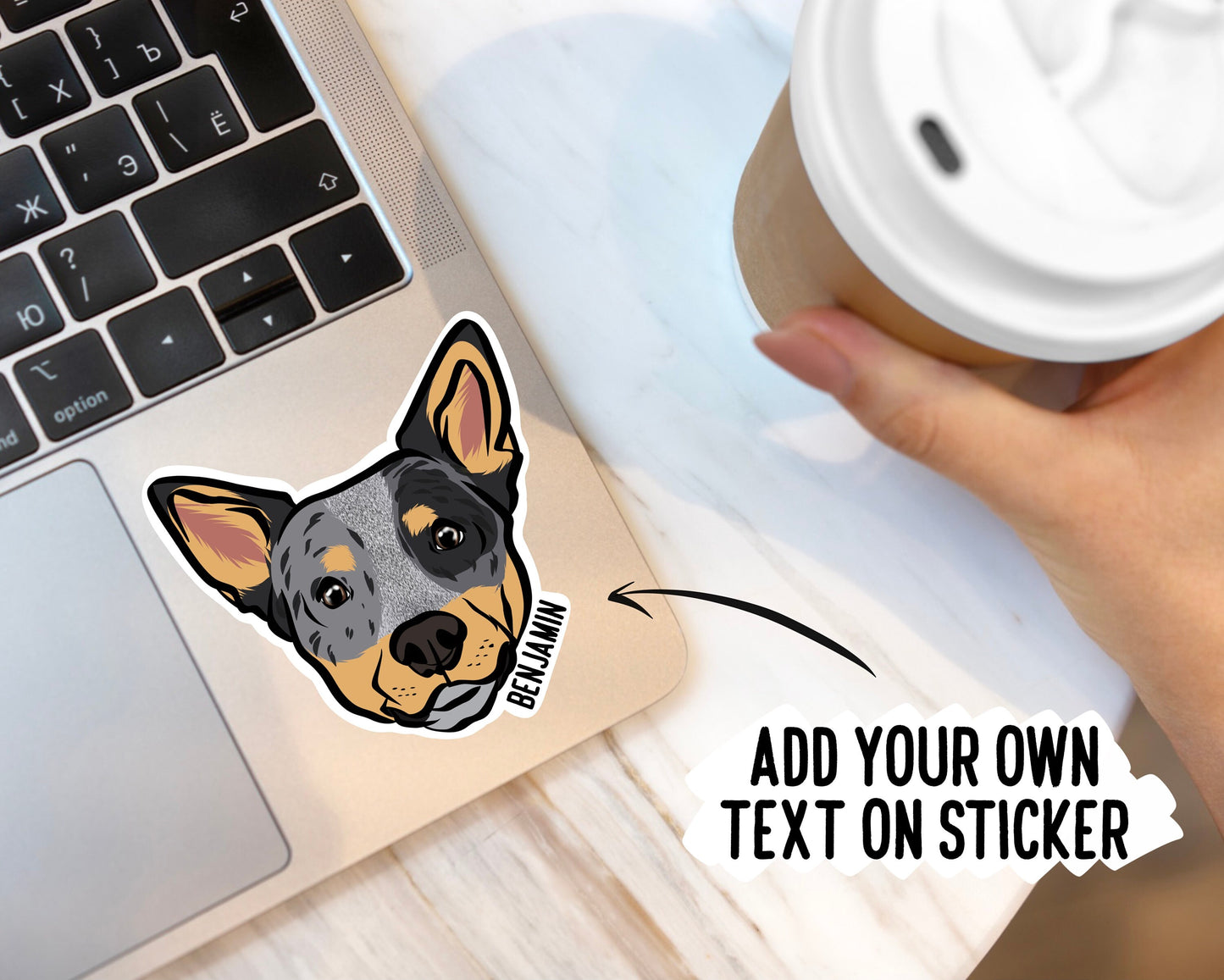 Australian Cattle Dog Stickers