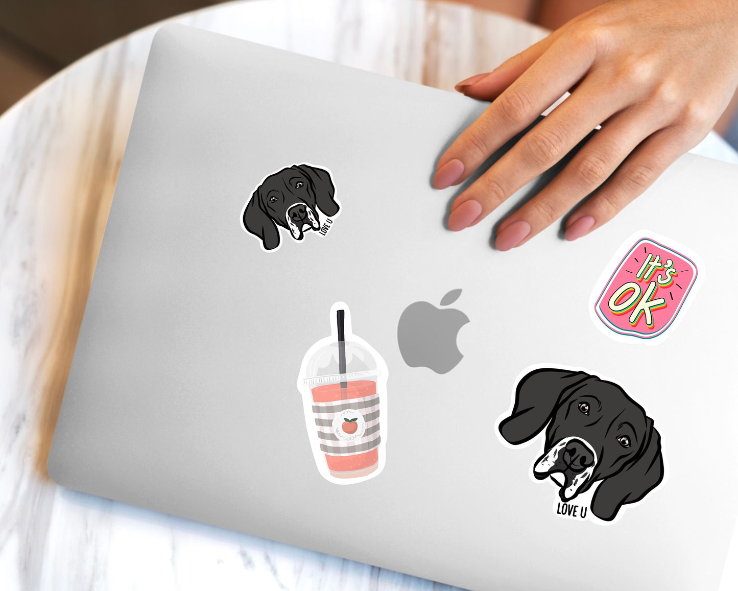 English Pointer Stickers