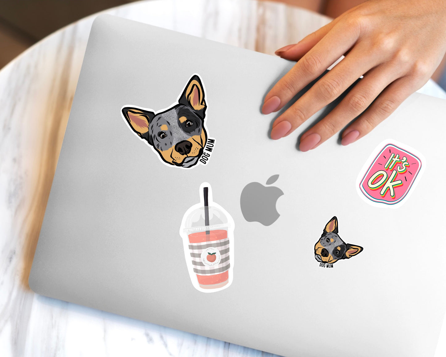 Australian Cattle Dog Stickers