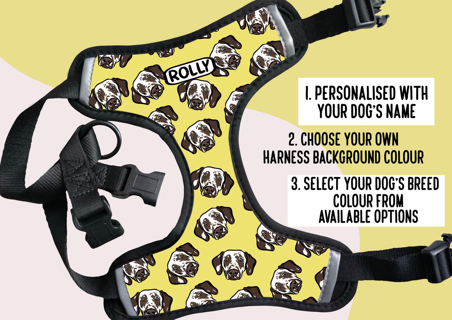 Dalmatian Harness