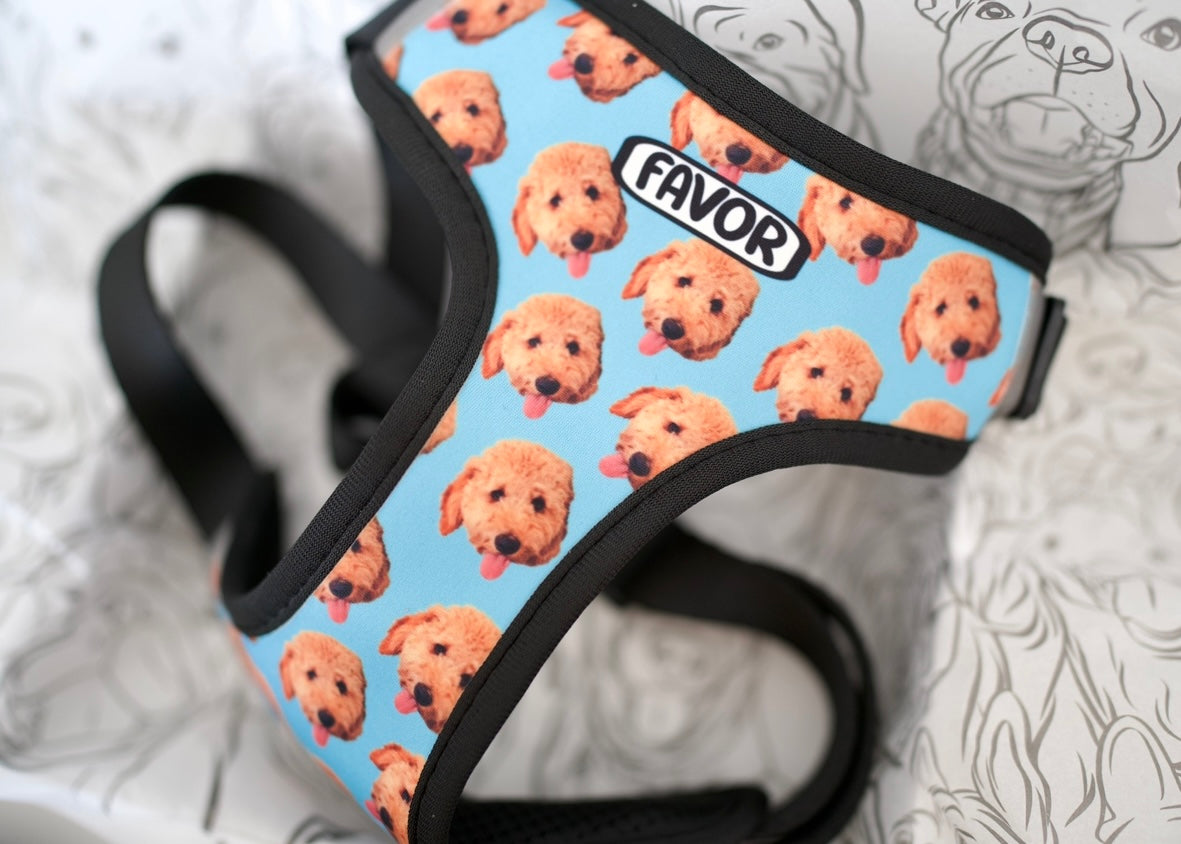 Personalised Dog Photo Harness