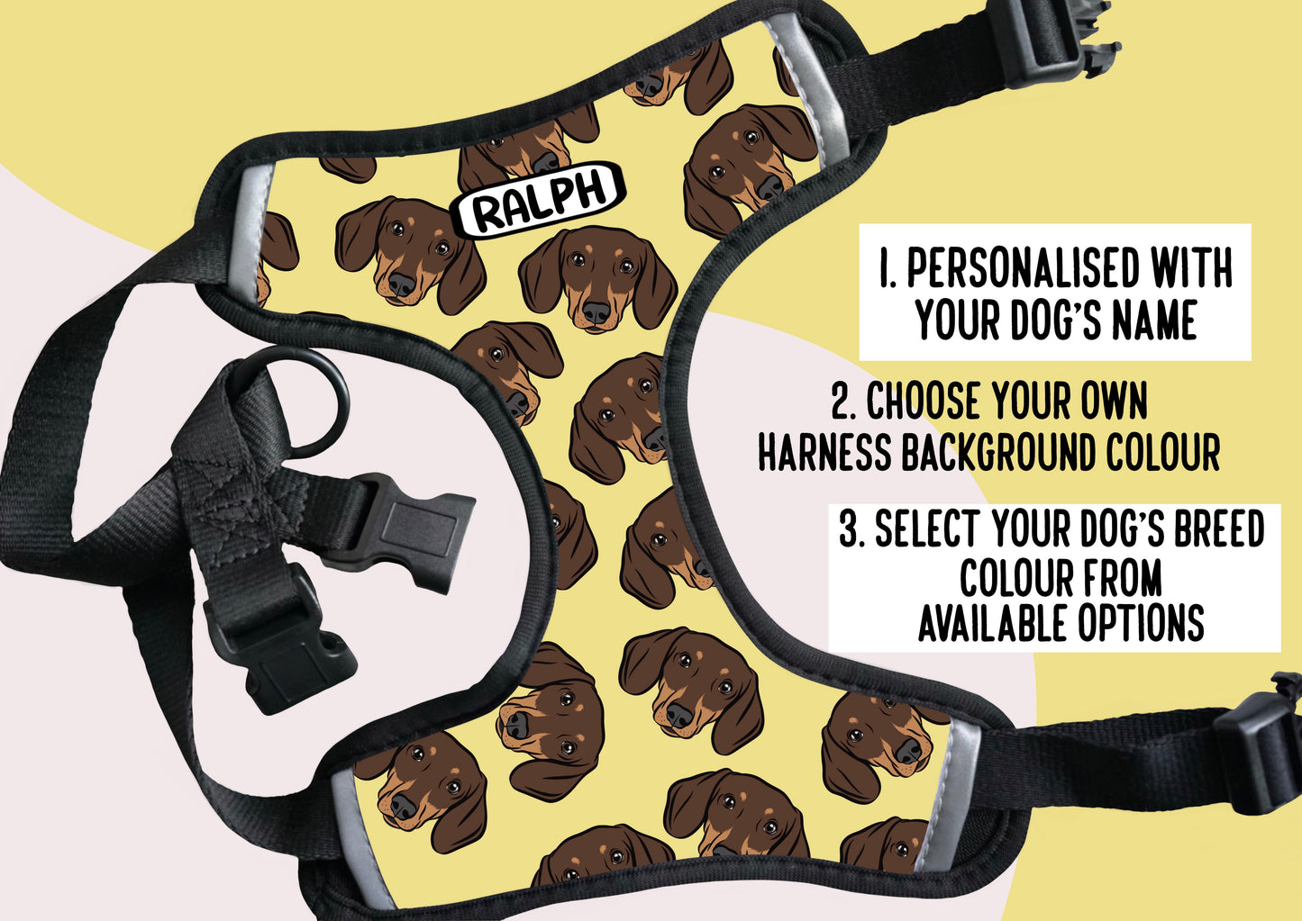 Dachshund Harness