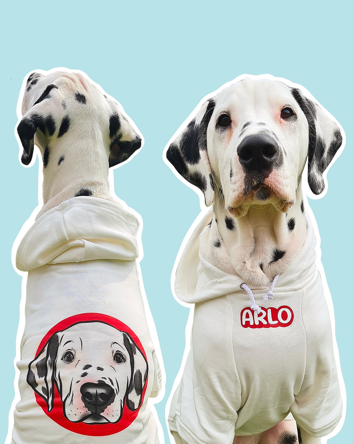 image Pet Portrait Hoodie