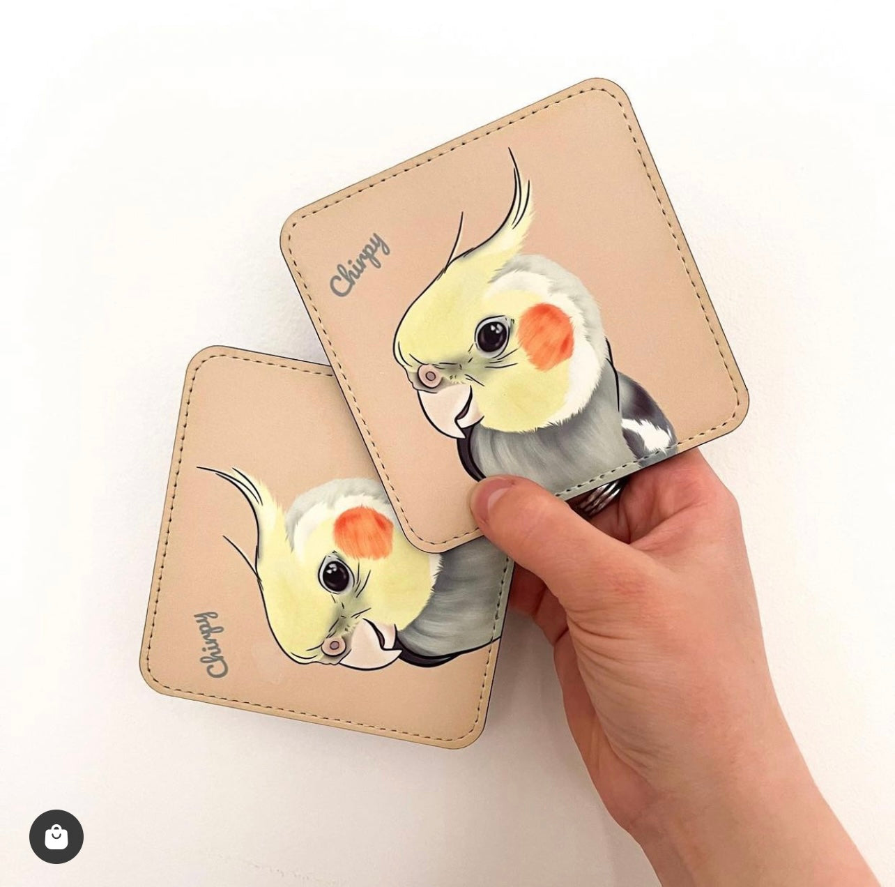 Custom Pet Coasters