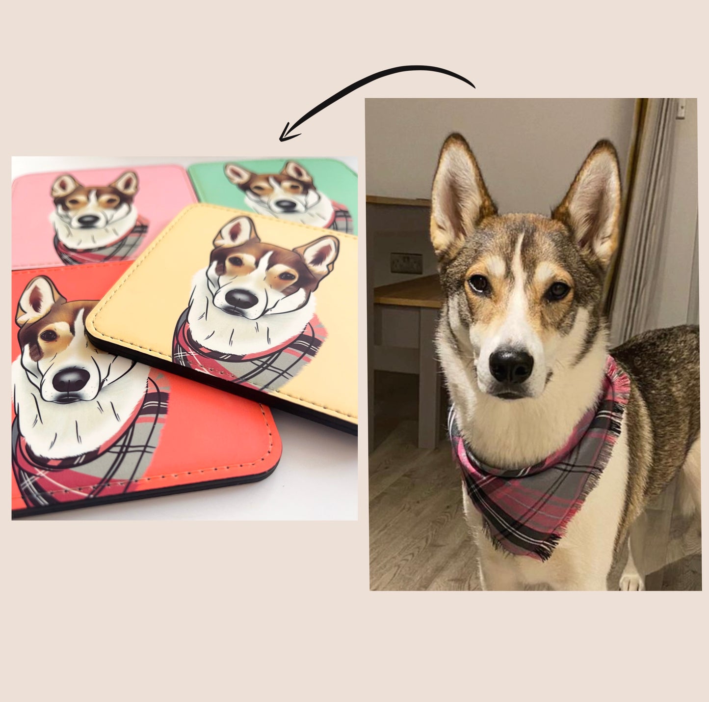 Custom Pet Coasters