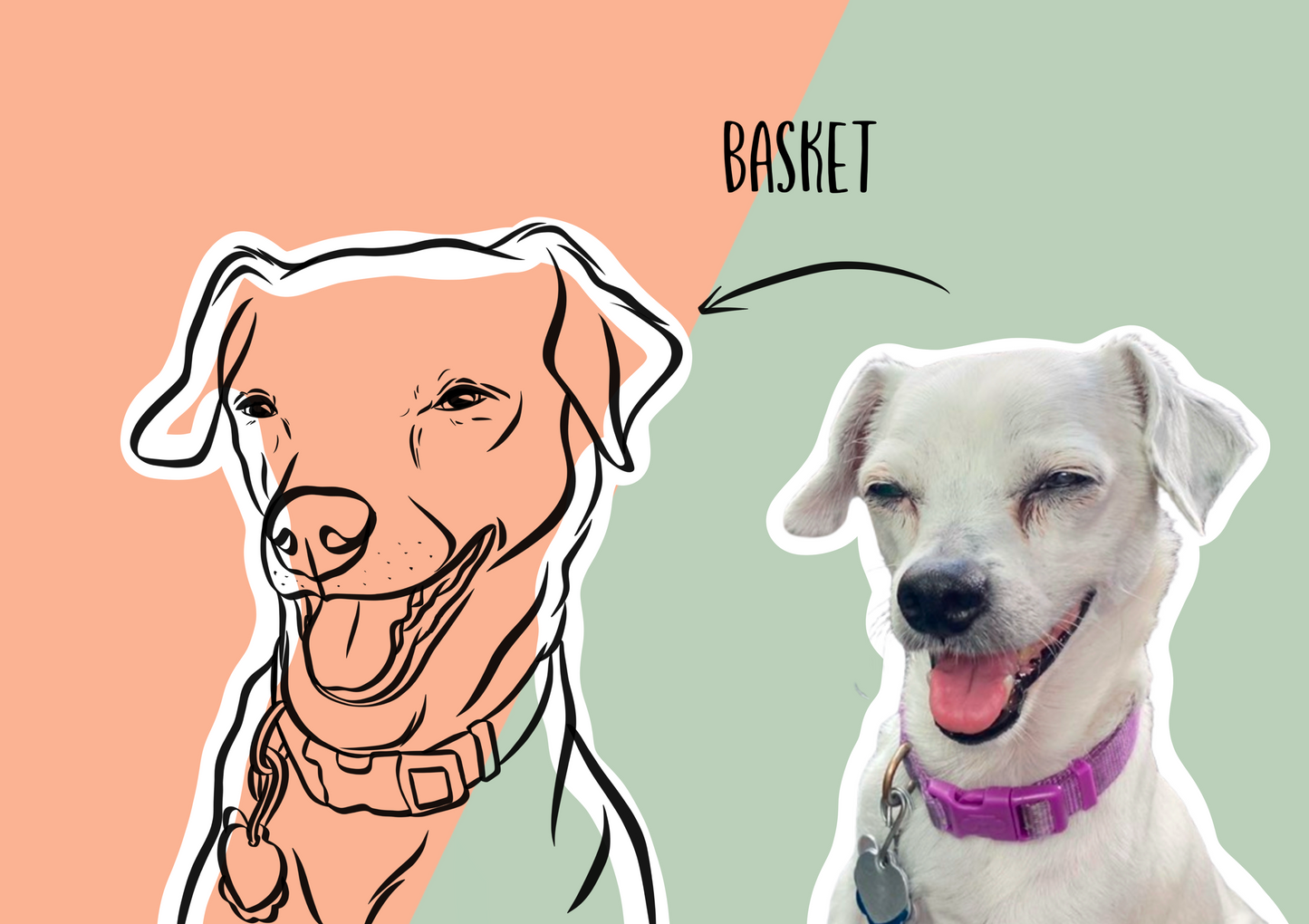 Outline Pet Portrait (Coloured Background)