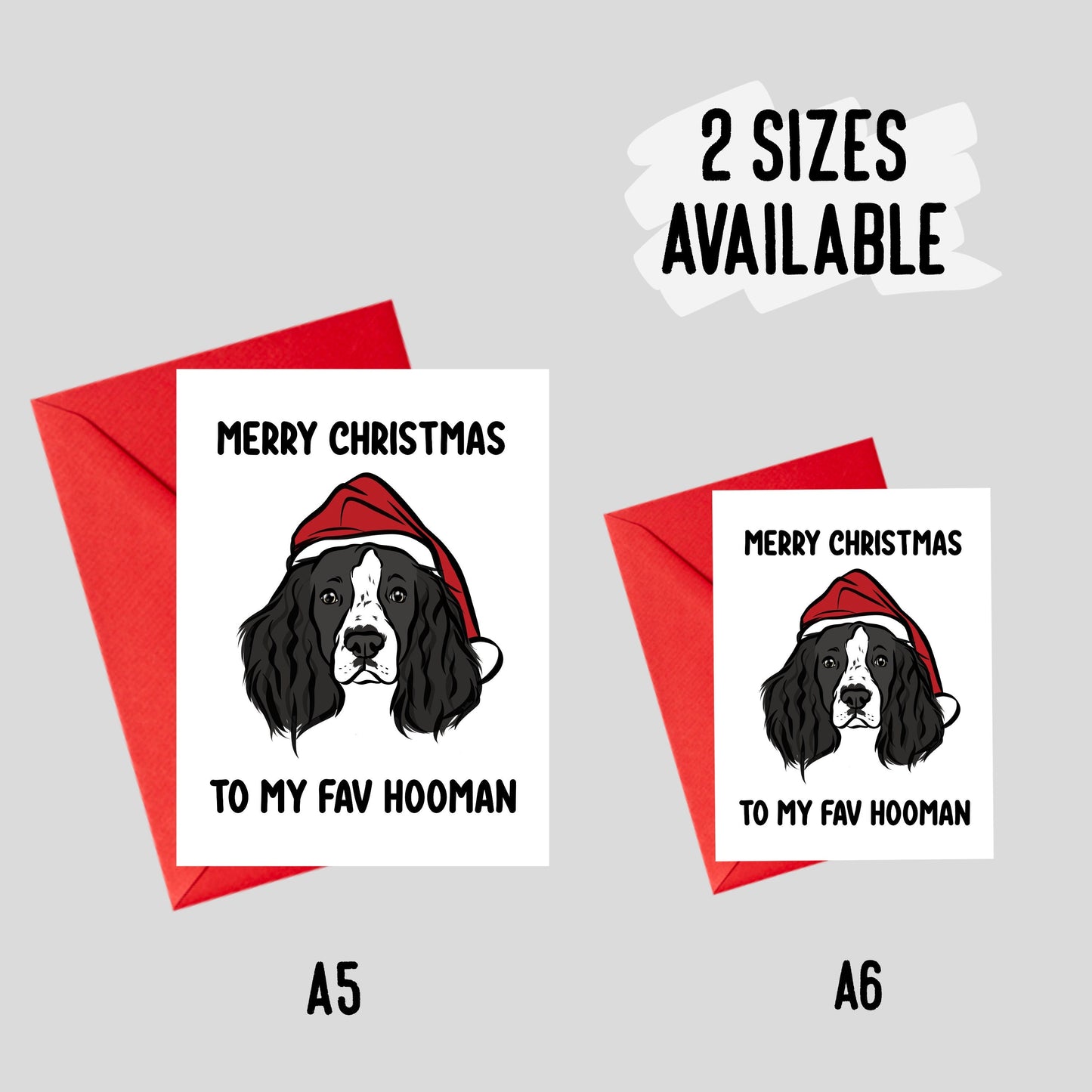 Springer Spaniel Christmas Card
