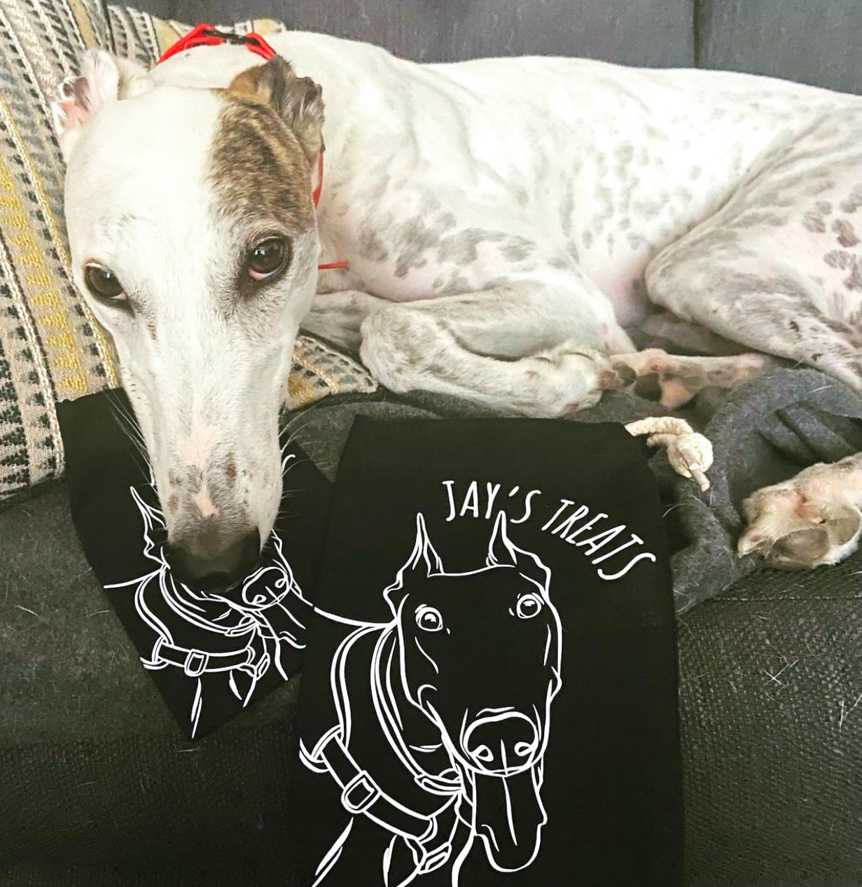 Pet Portrait Treat Bag (Black)