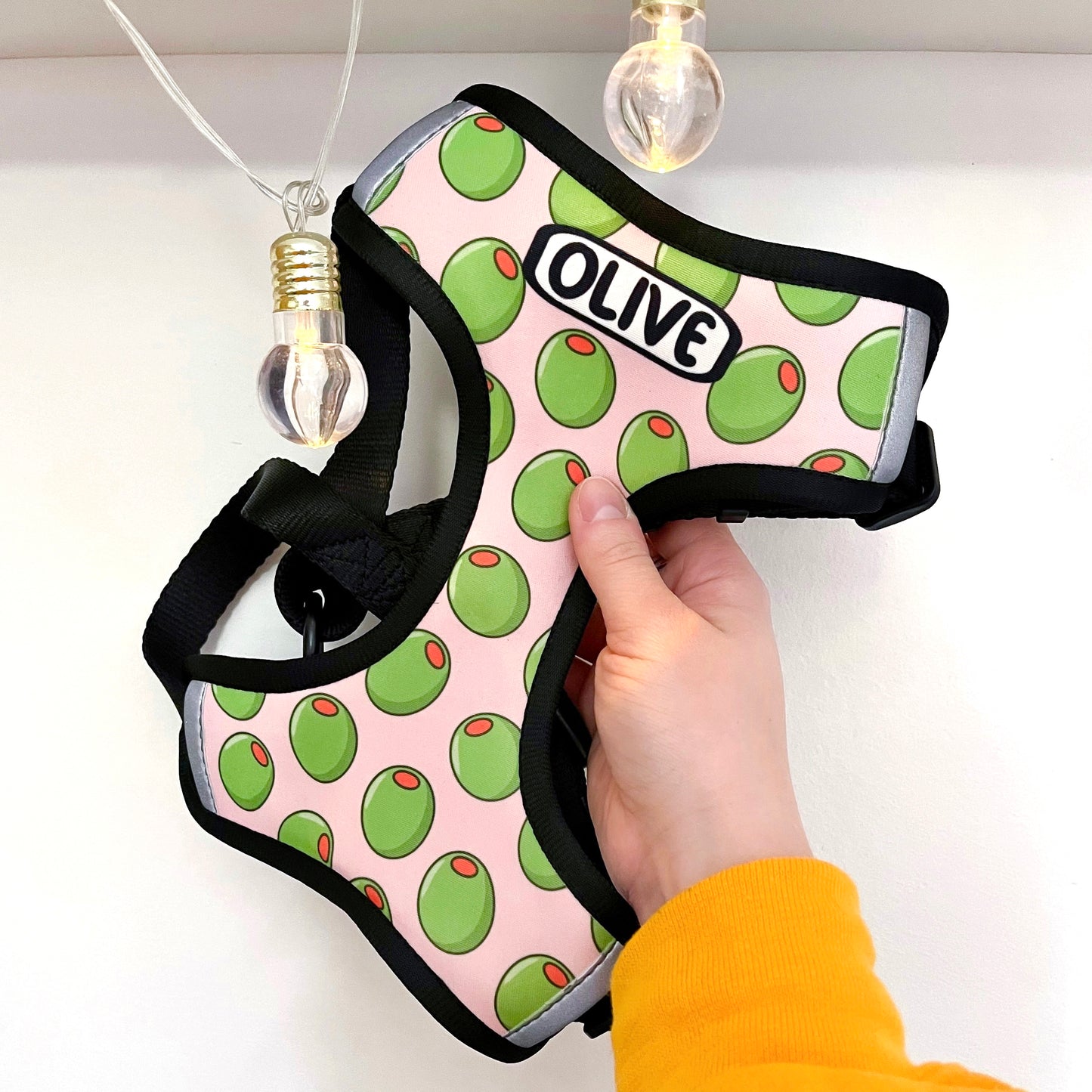 Personalised Pattern Harness
