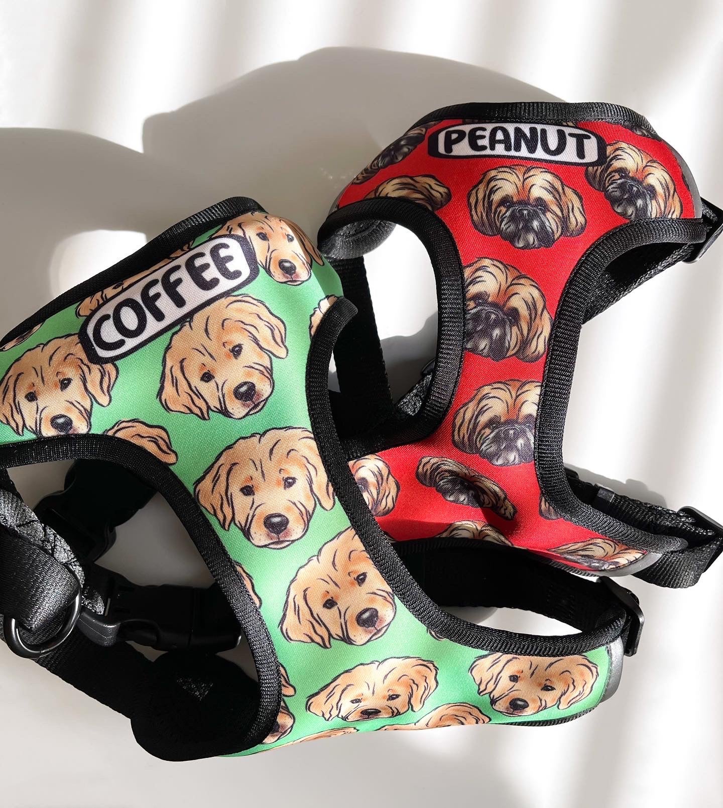 Pet Portrait Harness