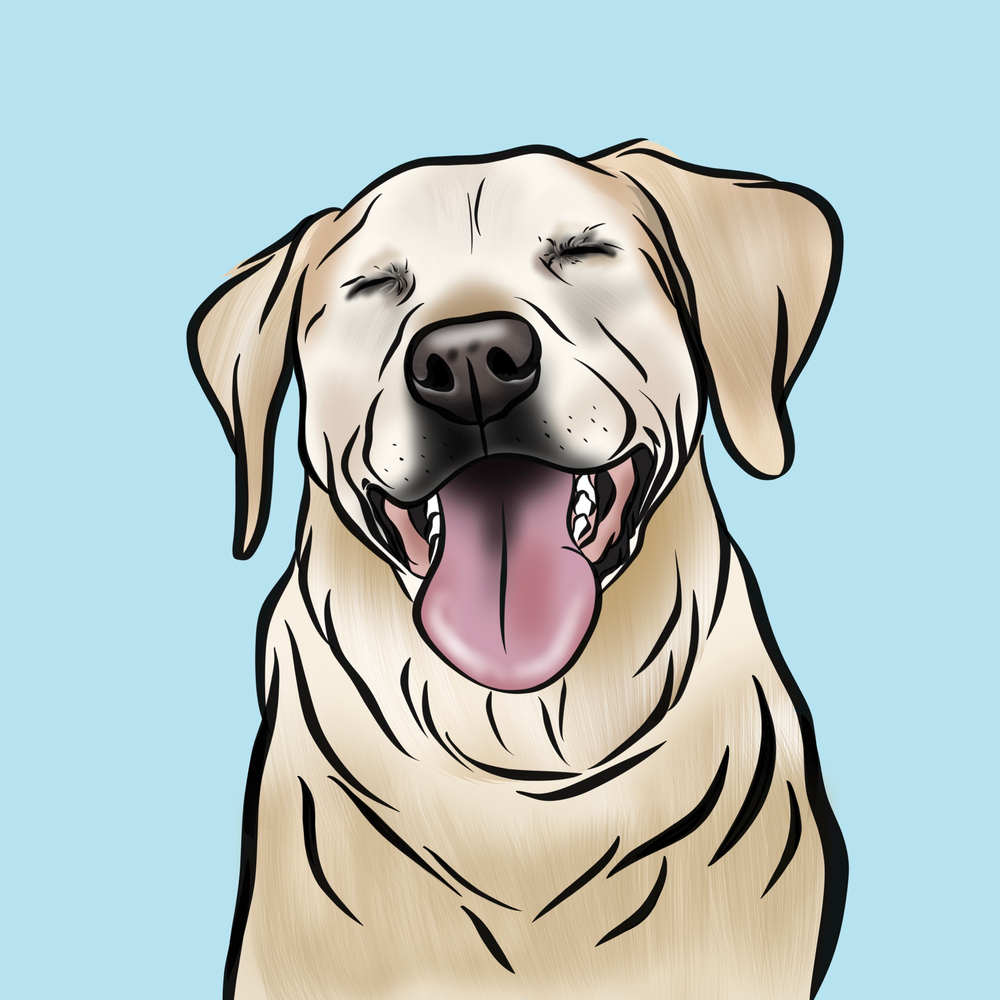 Digi Doggo | Custom illustrations & gifts for dogs and humans – digidoggo