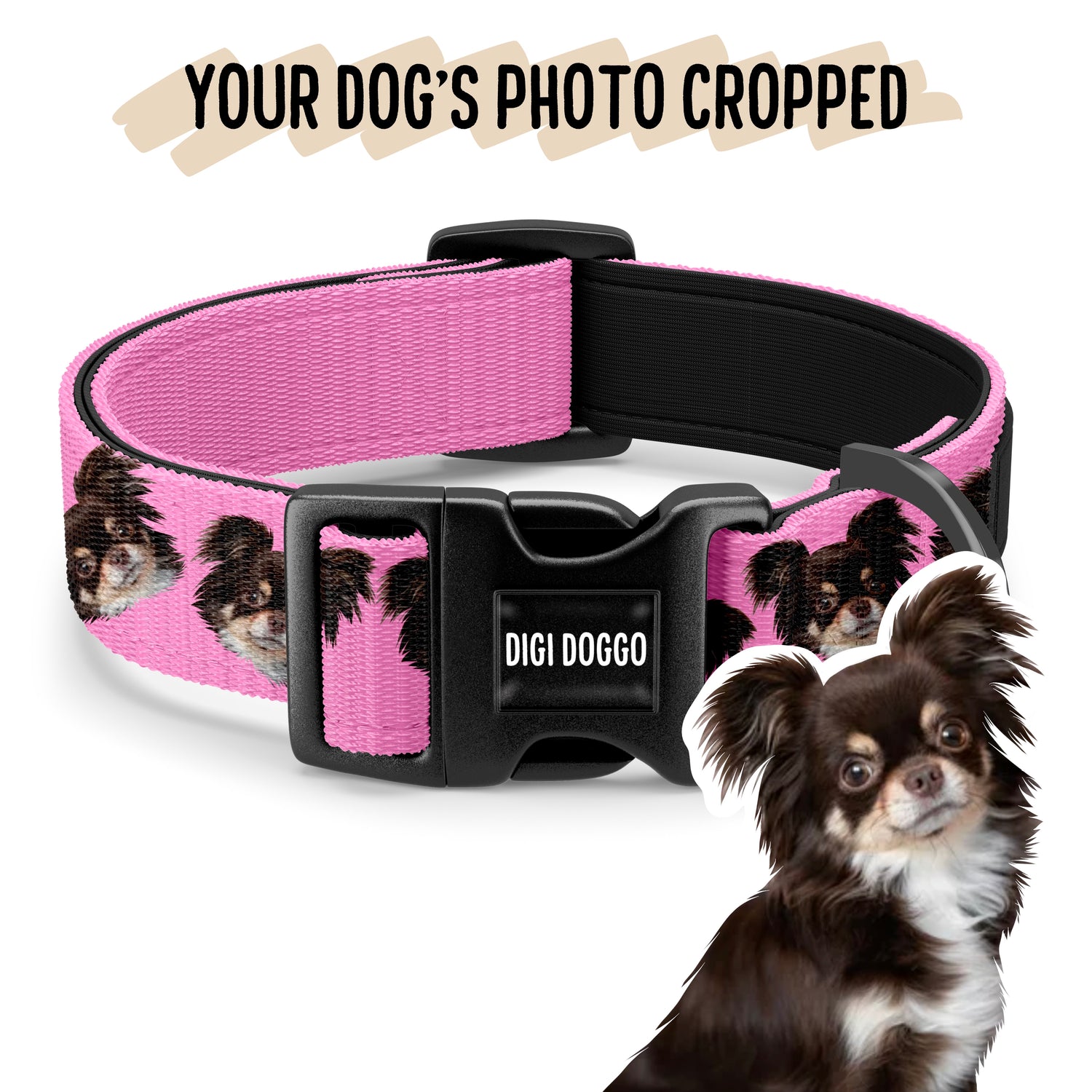 Dog Photo Collar