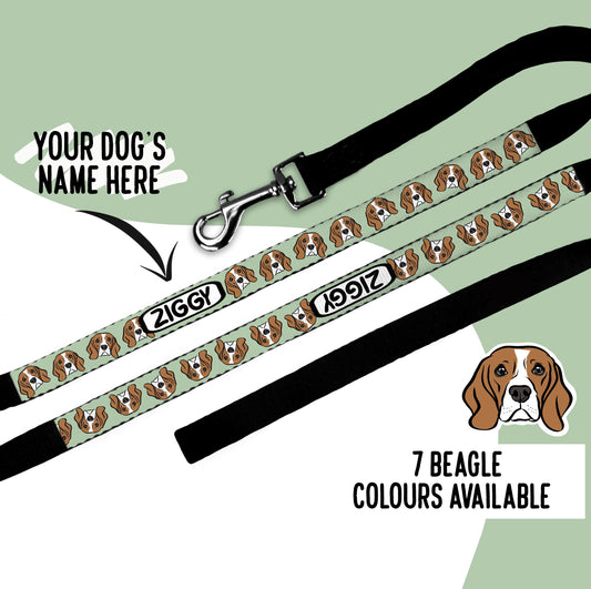 Beagle Dog Lead