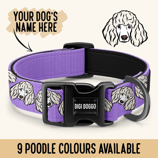 Standard Poodle Collar