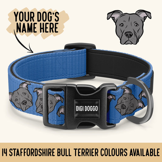 Staffordshire Bull Terrier Collar