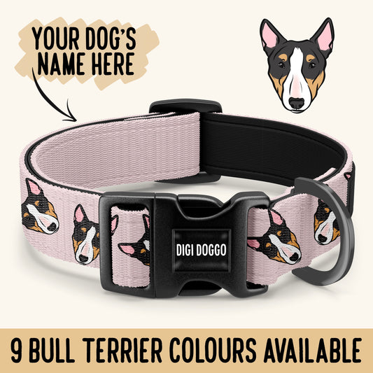 Bull Terrier Collar