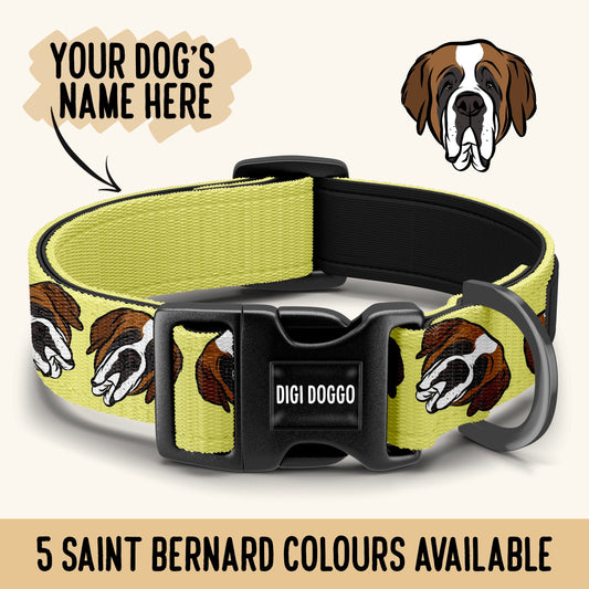 Saint Bernard Collar