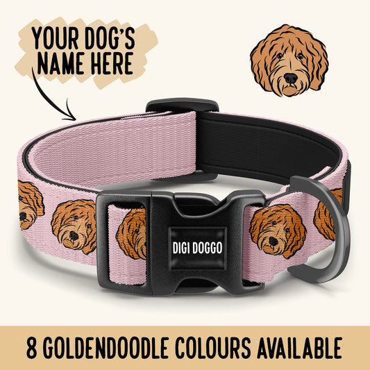 Goldendoodle Collar