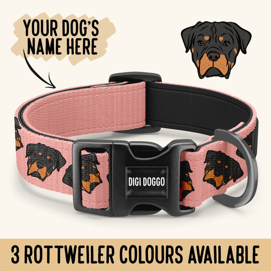 Rottweiler Dog Collar