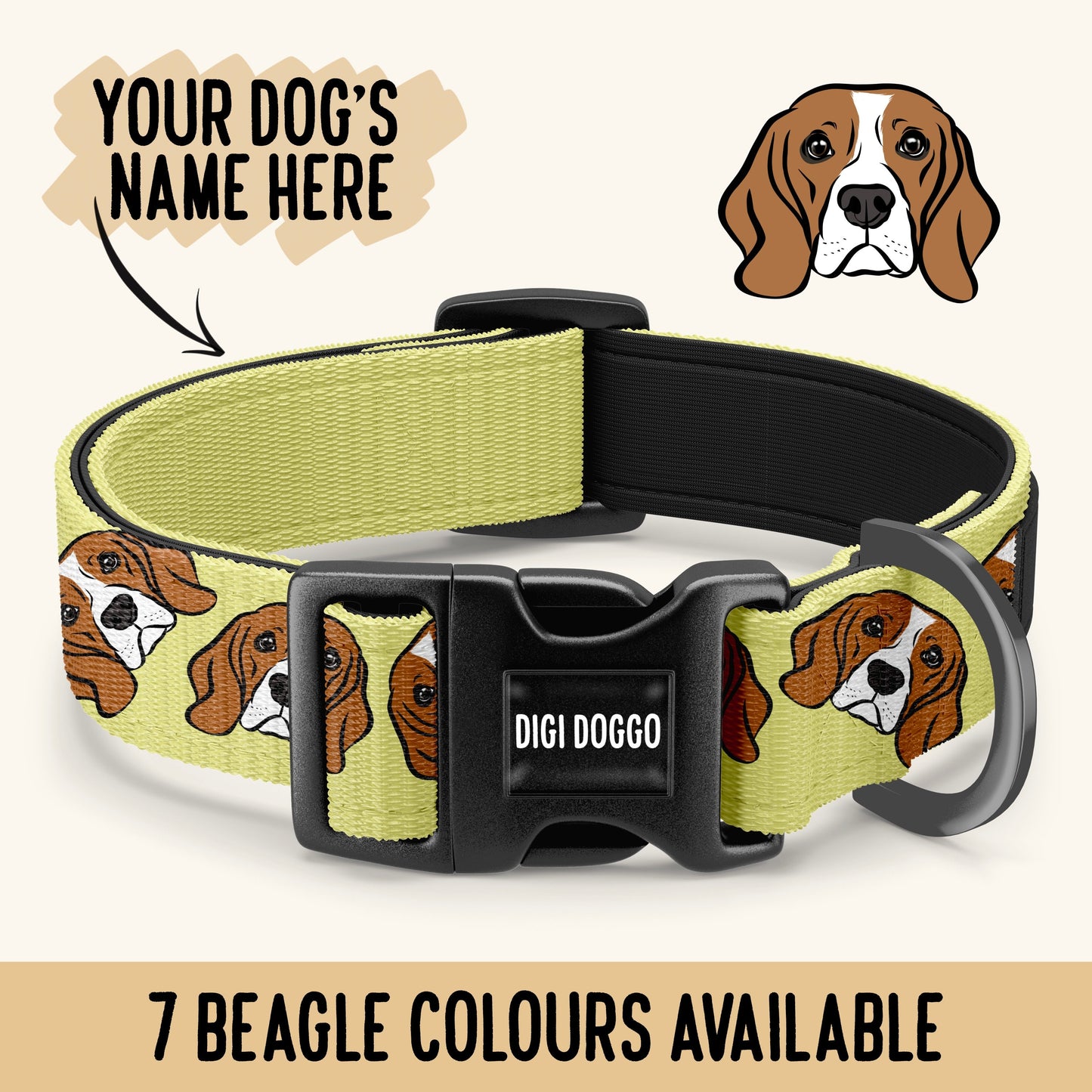 Beagle Dog Collar