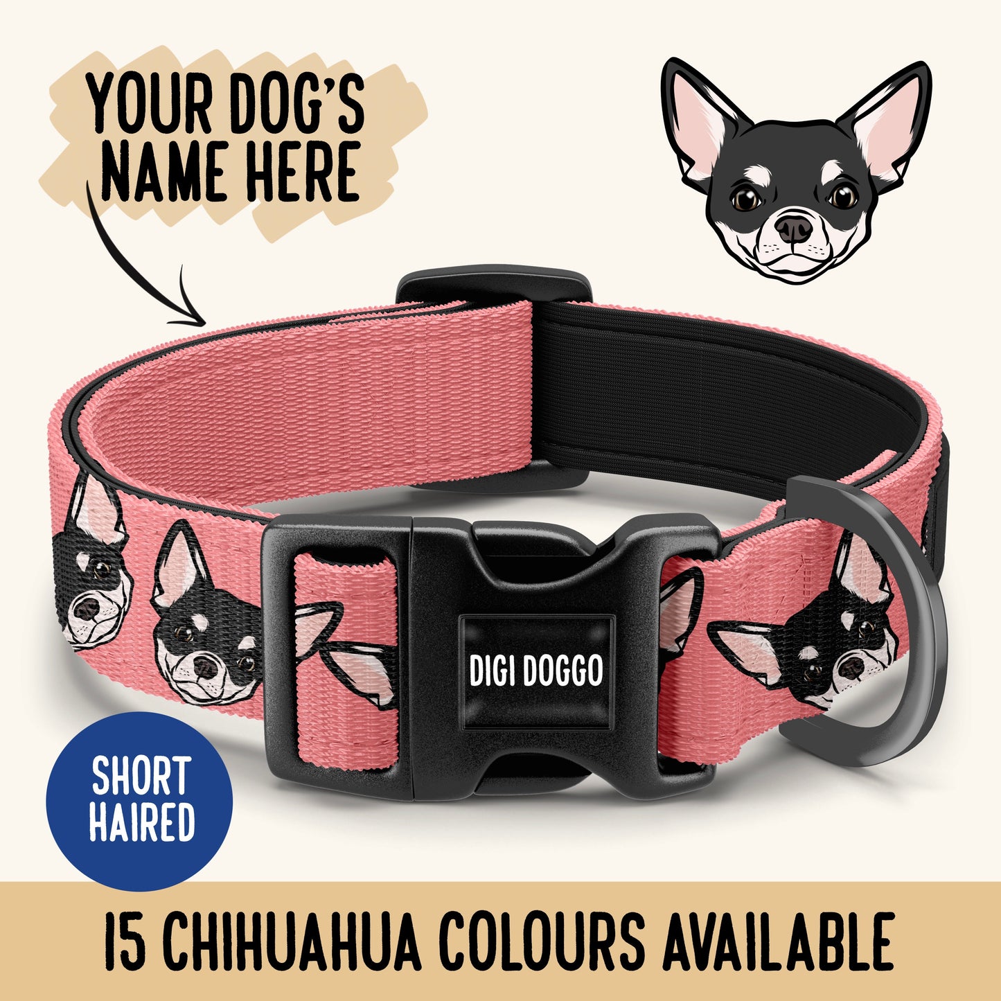 Chihuahua Collar