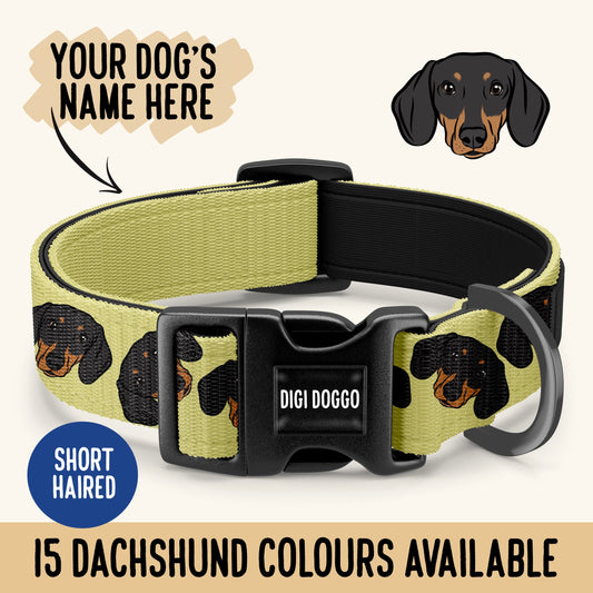 Dachshund Collar