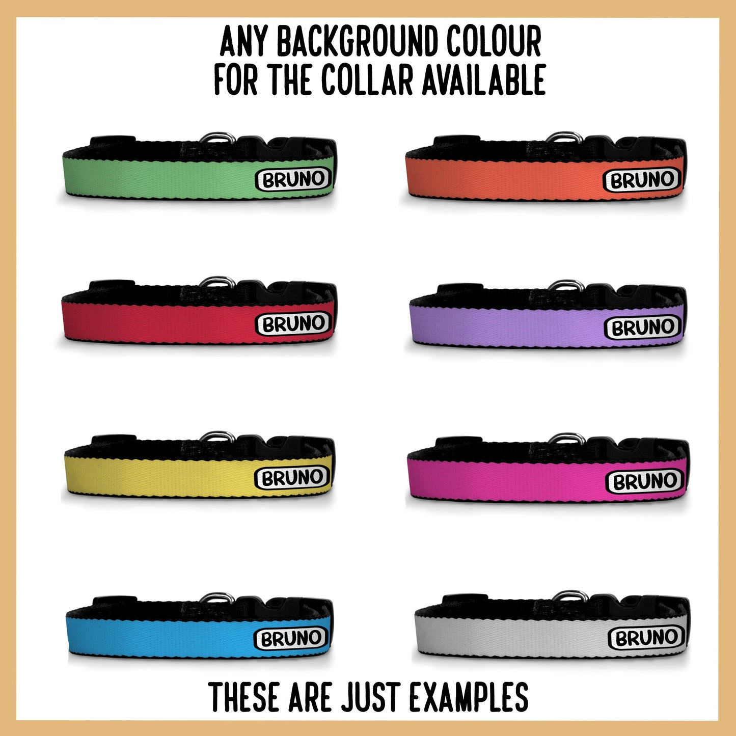 Beagle Dog Collar