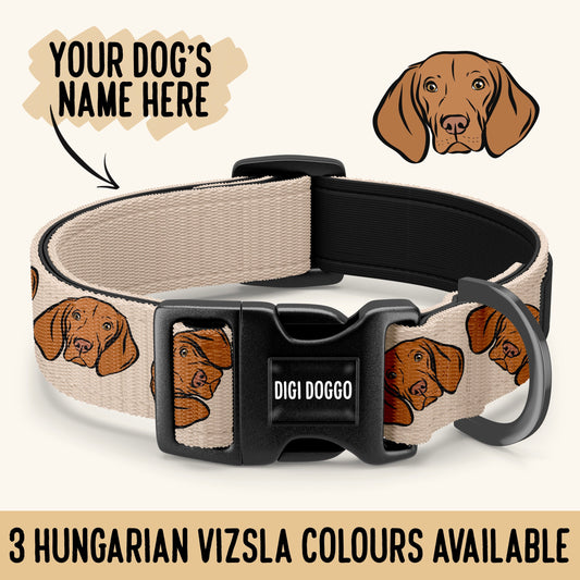 Hungarian Vizsla Collar