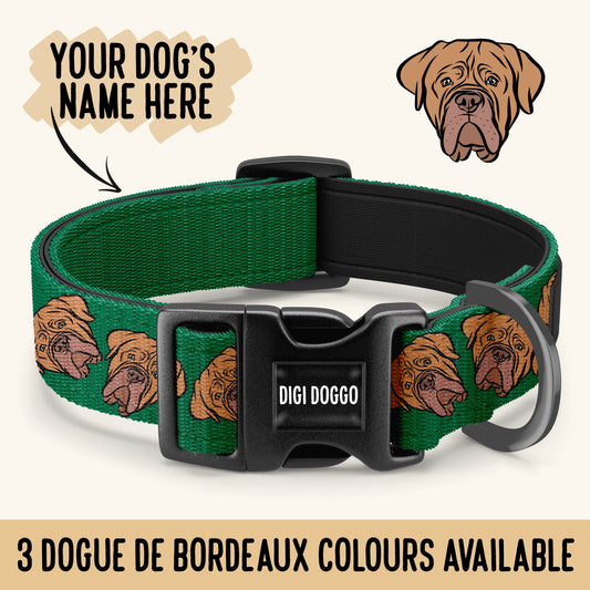 Dogue de Bordeaux Collar