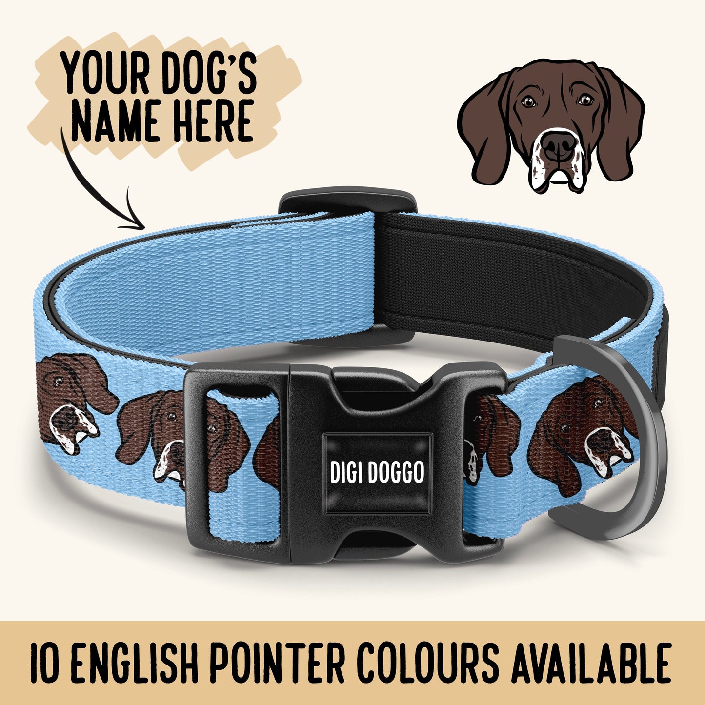 English Pointer Dog Collar