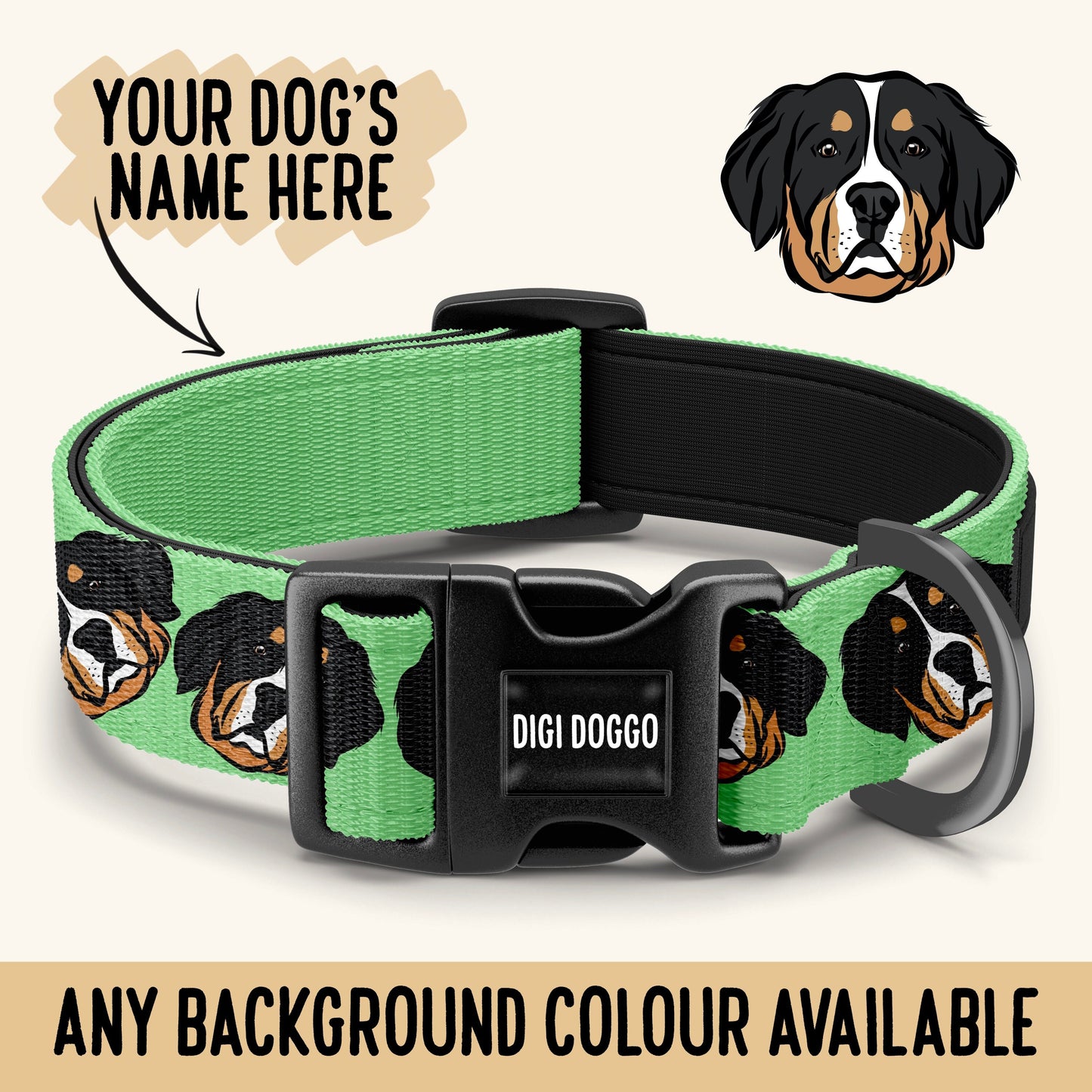 Bernese Mountain Dog Collar