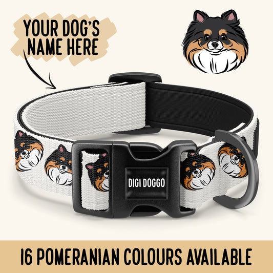 Pomeranian Collar