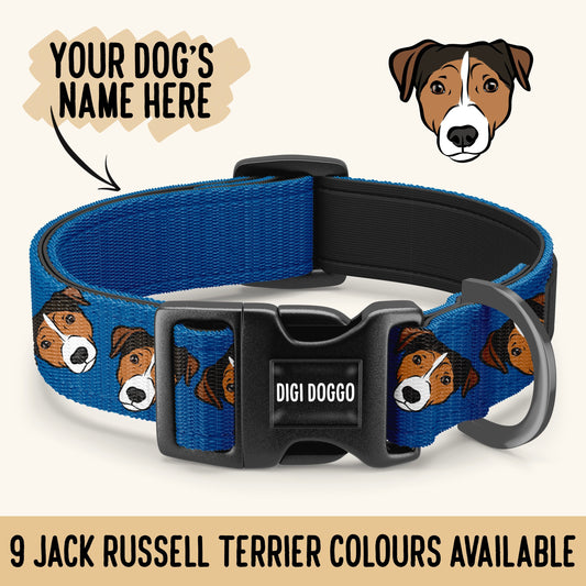 Jack Russell Terrier Collar