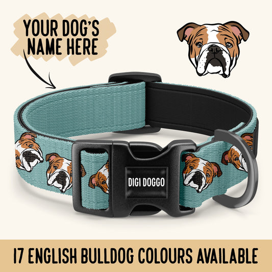 English Bulldog Collar