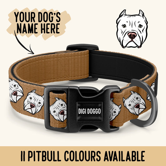 Pitbull Dog Collar