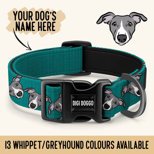 Whippet Greyhound Collar