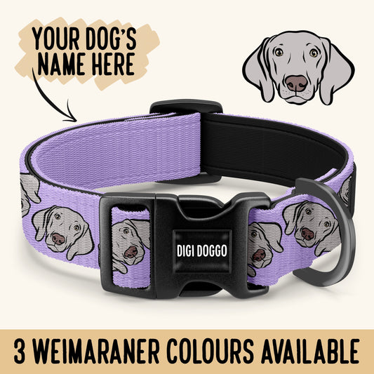 Weimaraner Dog Collar