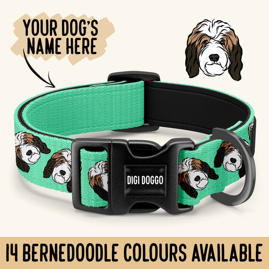 Bernedoodle Collar